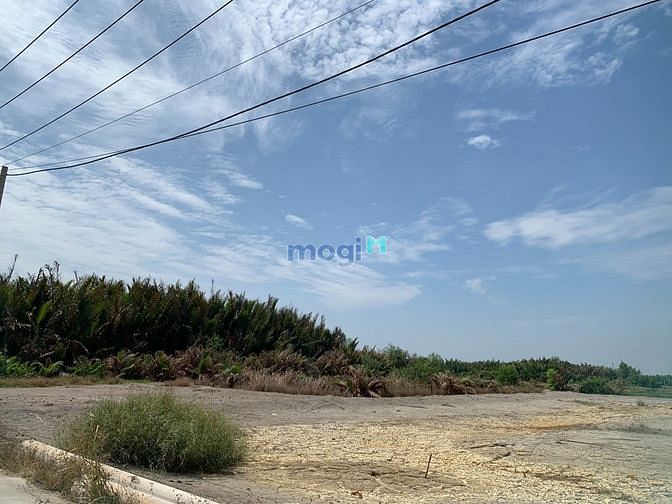 Hình ảnh Bán lô đất đẹp 1450m cách phà Bình Khánh Cần Giờ 2km, giá 3,7 tỷ