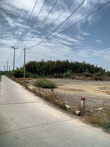 Hình ảnh Bán lô đất đẹp 1450m cách phà Bình Khánh Cần Giờ 2km, giá 3,7 tỷ