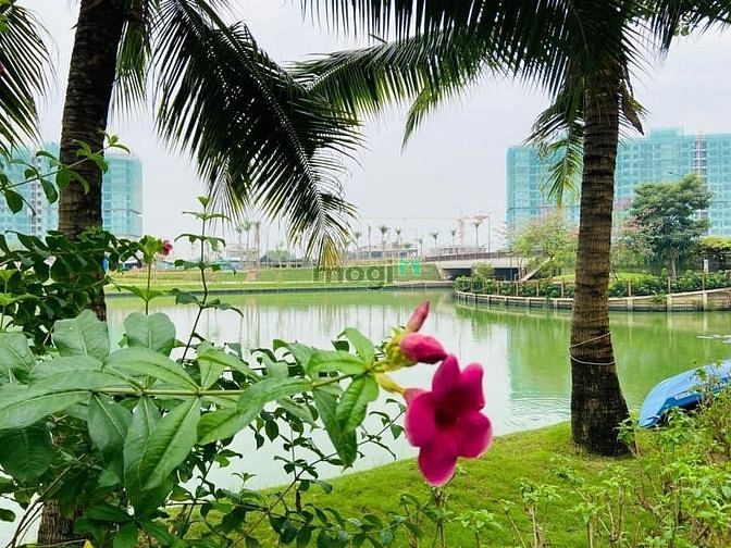 Hình ảnh Cho thuê Trang Chủ MB66.COM / Đăng Ký Tặng 66K MiZUKi phong cách Nhật mới 100% 2PN, giá 8 triệu
