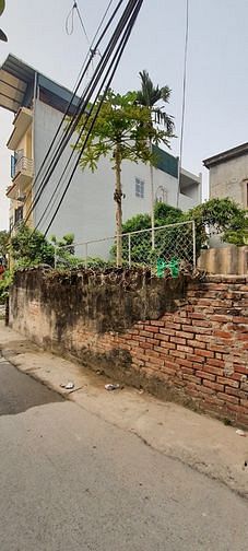 Hình ảnh Bán đất chỉnh chủ tại thôn Đại Cát, Liên Mạc