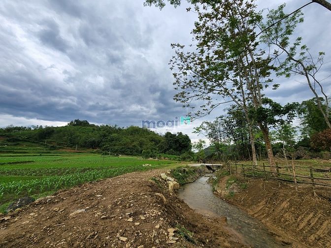Hình ảnh 3500m2 Siêu phẩm đất thổ cư giá hạt dẻ Tân Lạc Hòa Bình