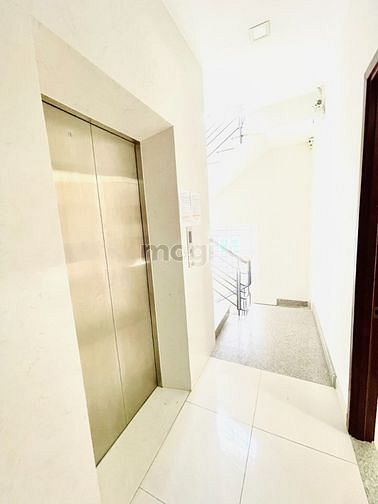 Hình ảnh Mb6623 nạp rút nhanh chóng dịch vụ Trương Định Quận 3 Sát EMG, HỒ CON RÙA