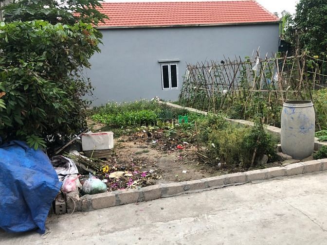 Hình ảnh Bán gấp 123m2 đất tân ước thanh oai chia 3 lô chỉ 1 tỷ sđcc