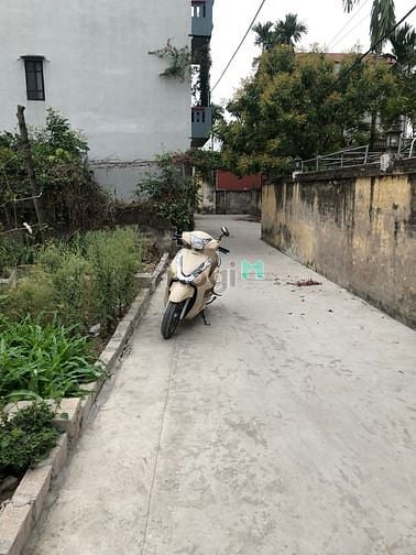 Hình ảnh Bán gấp 123m2 đất tân ước thanh oai chia 3 lô chỉ 1 tỷ sđcc