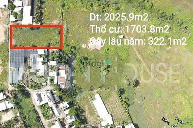 Hình ảnh Bán Đất 2026m2 Đường 27 Nguyễn Xiễn, Phường Long Thạnh Mỹ, Quận 9