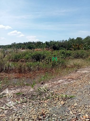 Hình ảnh Bán lô đất ngay KDC Bà Xán xã Bình Khánh Cần Giờ, 1414 m2, giá 2,9 tỷ