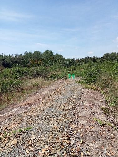 Hình ảnh Bán lô đất ngay KDC Bà Xán xã Bình Khánh Cần Giờ, 1414 m2, giá 2,9 tỷ