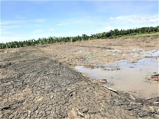 Hình ảnh Bán 3571m2 đất xã An Thới Đông Cần Giờ, giá 1,2 tỷ/1000m