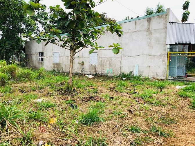Hình ảnh Đất rẻ tại Hưng Lộc cách QL1A chỉ 300m đủ tiện ích