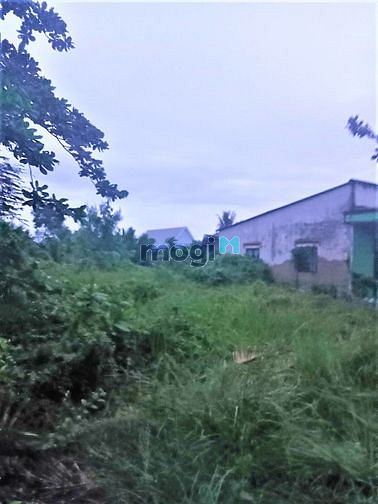Hình ảnh Bán 2000m2 đất thổ cư xã An Thới Đông Cần Giờ, giá 4.9 tỷ