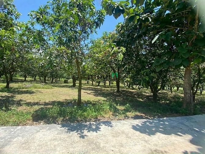 Hình ảnh Đất Vườn Định Quán , Đồng Nai giá rẻ 1100m2 có 100m2 thổ cư