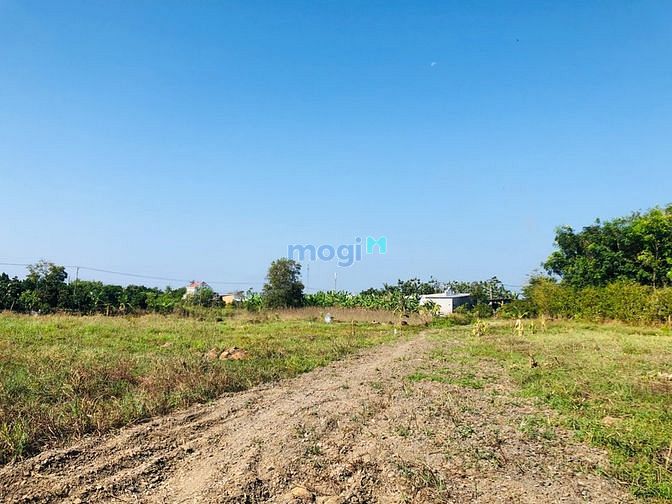 Hình ảnh Đất thị trấn dân cư đông giá rẻ, SHR bao ra sổ