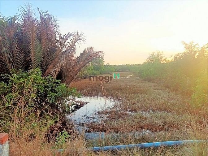 Hình ảnh Đất Mặt tiền đường rừng sác xã Bình Khánh Cần Giờ, 1819m, giá 18,2 tỷ