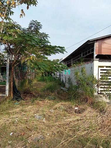 Hình ảnh Bán lô đất đẹp full thổ cư cách biển Cần Giờ 300m, 100 m2, giá 6 tỷ