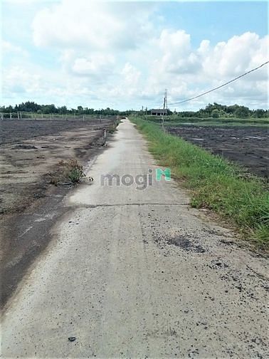 Hình ảnh Bán lô đất 2000m tại xã Bình Khánh Cần Giờ, giá 2,2 tỷ/1000m