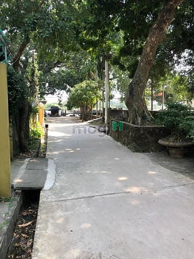 Hình ảnh Bán gấp nhà thị trấn chúc sơn chương mỹ 3 tầng 3 ngủ xây mới chỉ 1 tỷ