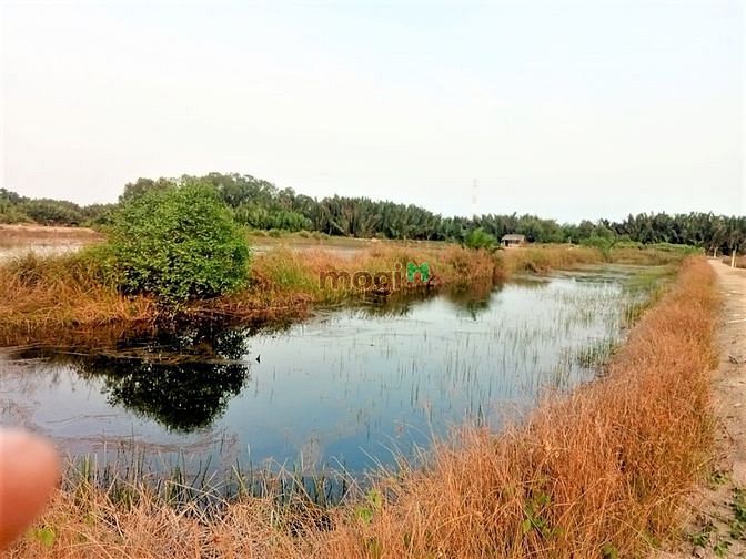 Hình ảnh Bán lô đất cách phà Bình Khánh Cần Giờ 4km, 1941 m2, giá 3.5 tỷ/1000m