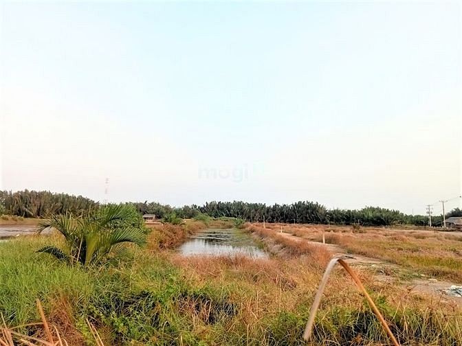 Hình ảnh Bán lô đất cách phà Bình Khánh Cần Giờ 4km, 1941 m2, giá 3.5 tỷ/1000m
