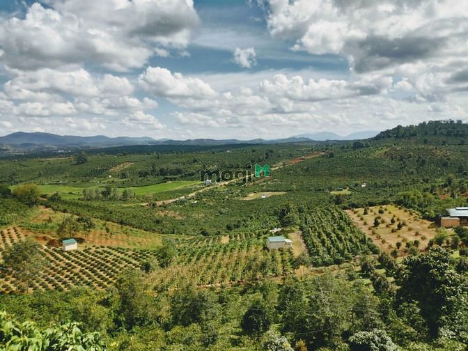 Hình ảnh Bán đất hai mặt tiền đường Quốc lộ 28
