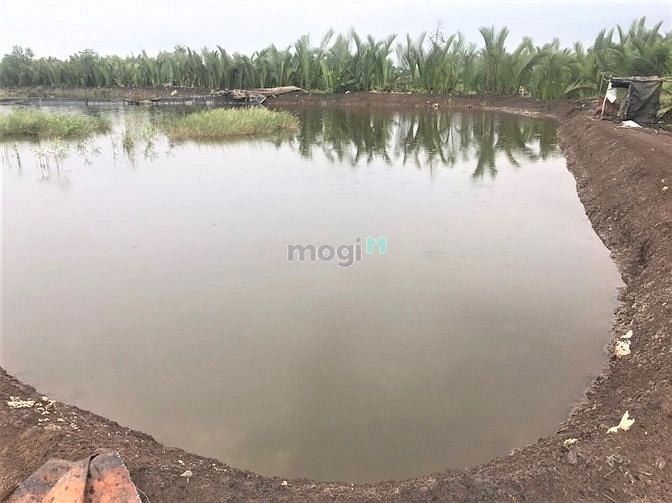 Hình ảnh Bán lô đất đẹp giá rẻ tại xã Bình Khánh Cần Giờ, 2000m, giá 1.3 tỷ