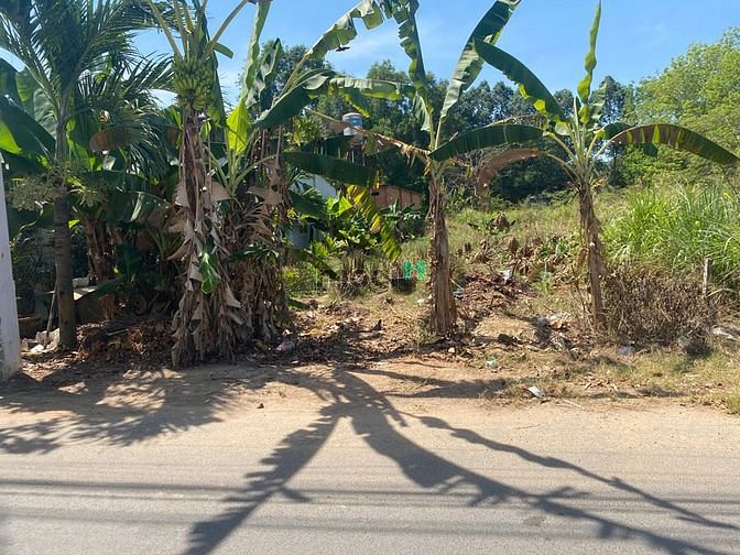 Hình ảnh chính chủ bán lô đất 253m2 . có 100m2TC MT nhựa 7m