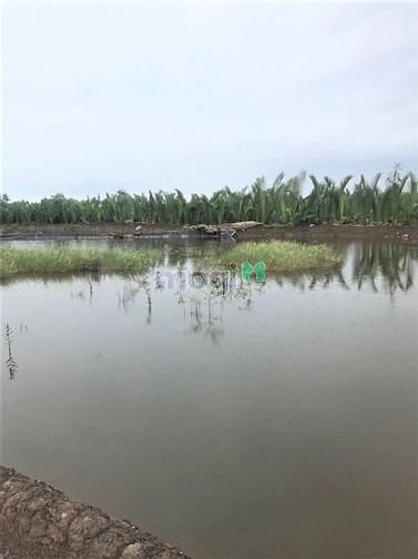 Hình ảnh Bán lô đất đẹp giá rẻ tại xã bình khánh Cần Giờ, 2000m, giá 1.3 tỷ