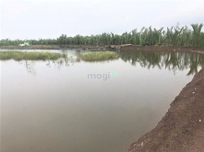 Hình ảnh Bán lô đất đẹp giá rẻ tại xã bình khánh Cần Giờ, 2000m, giá 1.3 tỷ