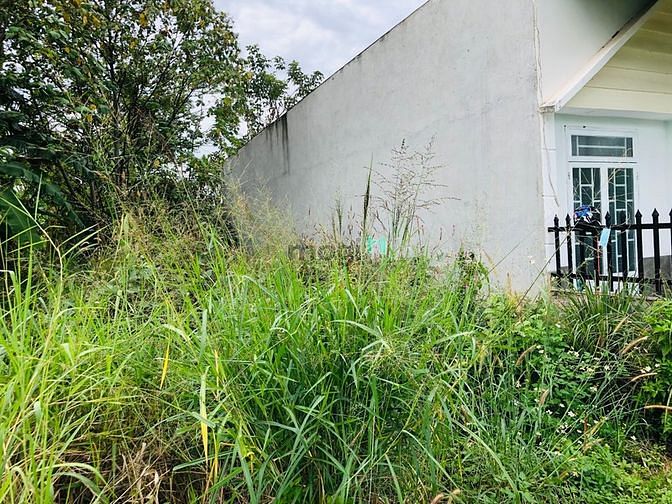 Hình ảnh Bán 230m2 đất thổ cư ngay sau UBND xã Hưng Lộc
