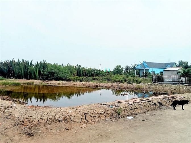 Hình ảnh Bán lô đất MT xe hơi tới đất bình khánh cần giờ, 2055m2, giá 26.7 tỷ