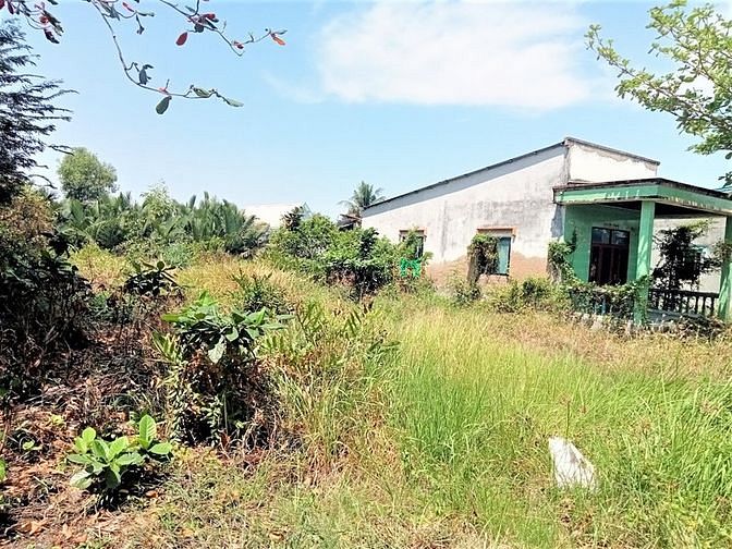 Hình ảnh Bán lô đất đẹp cách phà Bình Khánh Cần Giờ 1km, 860 m, giá 7 triệu/m2