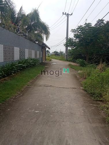 Hình ảnh Bán lô đất mặt tiền hẻm xe hơi bình khánh cần giờ, 500m2, giá 10tr/m2