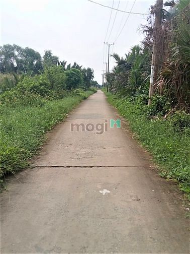 Hình ảnh Bán lô đất mặt tiền hẻm xe hơi bình khánh cần giờ, 500m2, giá 10tr/m2