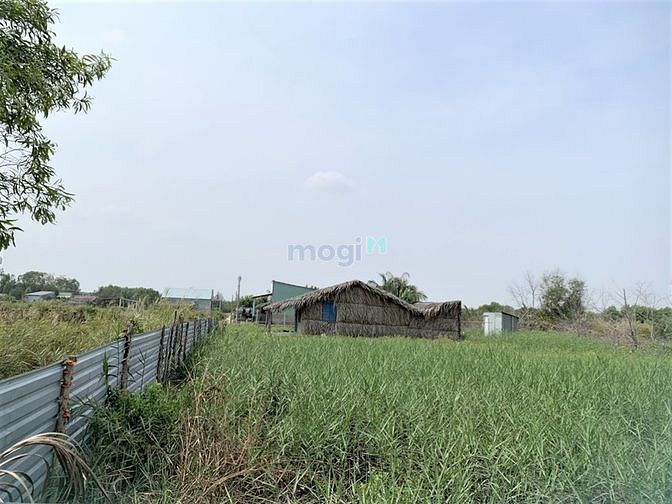 Hình ảnh Ngộp lãi MB66 là nhà cái uy tín hàng đầu tại Việt Nam cần bán gấp 3347m đất An Thới Đông Cần giờ, 4 tỷ