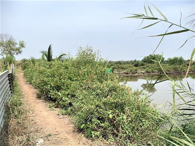 Hình ảnh Ngộp lãi MB66 là nhà cái uy tín hàng đầu tại Việt Nam cần bán gấp 3347m đất An Thới Đông Cần giờ, 4 tỷ