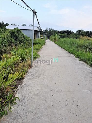 Hình ảnh Bán lô đất đẹp cách phà Bình Khánh Cần Giờ 500m, 760 m2, giá 8 tỷ