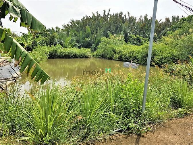 Hình ảnh Bán lô đất đẹp cách phà Bình Khánh Cần Giờ 500m, 760 m2, giá 8 tỷ