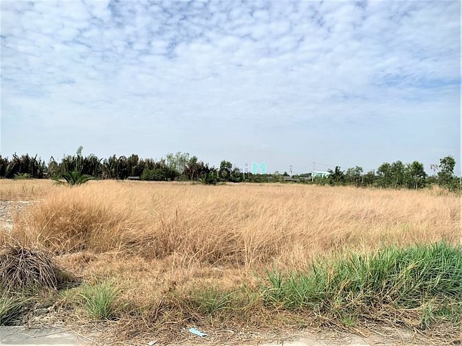 Hình ảnh Bán lô đất đẹp giá rẻ ngay KDC xã Bình Khánh Cần Giờ, 1000m, giá 4 tỷ