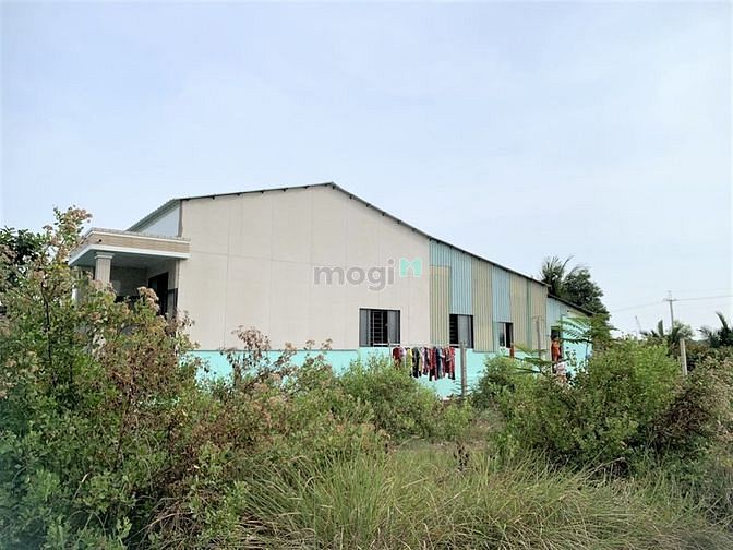 Hình ảnh Đất mặt tiền đường lớn 8m xã lý nhơn Cần Giờ, DT 1800 m, giá 9.5 tỷ