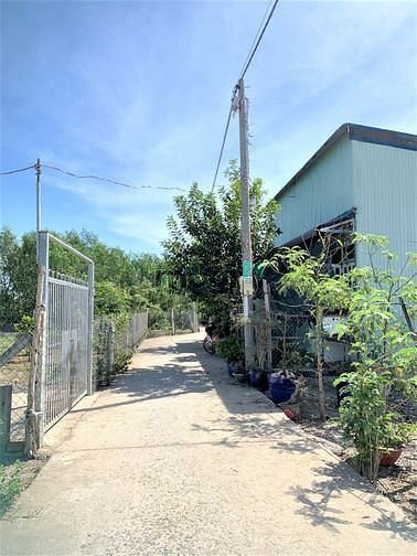Hình ảnh Bán lô đất HXH cách phà Bình Khánh Cần Giờ 500m, 1417m2, giá 14.5 tỷ