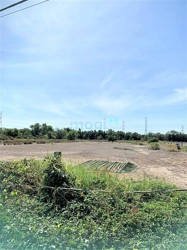 Hình ảnh Bán lô đất HXH cách phà Bình Khánh Cần Giờ 500m, 1417m2, giá 14.5 tỷ