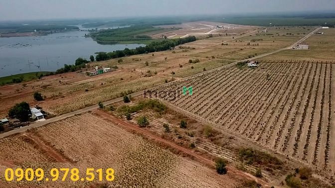 Hình ảnh 10mx24m 240m Thổ Cư, Đất Tái Định Cư Nha Bích-Chơn Thành, Bình Phước