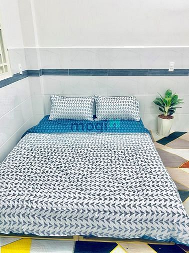 Hình ảnh Khai Trương Căn Hộ Studio Gần Sân Bay
