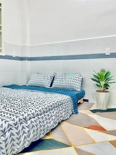 Hình ảnh Khai Trương Căn Hộ Studio Gần Sân Bay