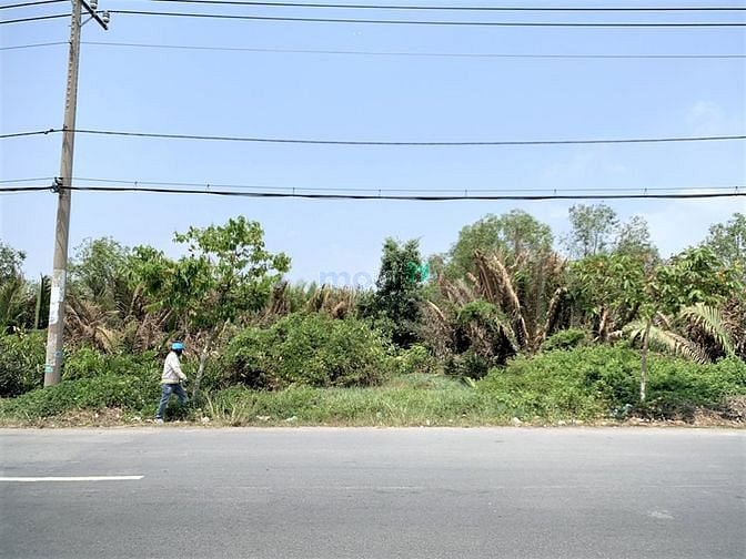 Hình ảnh Đất MT đường rừng sác cách phà Cần Giờ 3km, 1035m, giá 22triệu/m2
