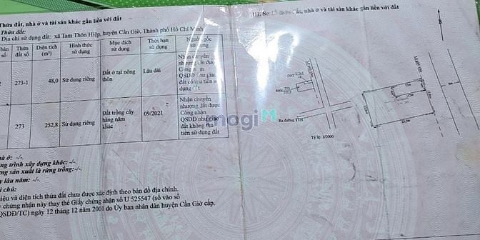 Hình ảnh Bán đất tặng nhà cấp 4 Tam Thôn Hiệp Cần Giờ, 300m (7x23), giá 5.5 tỷ