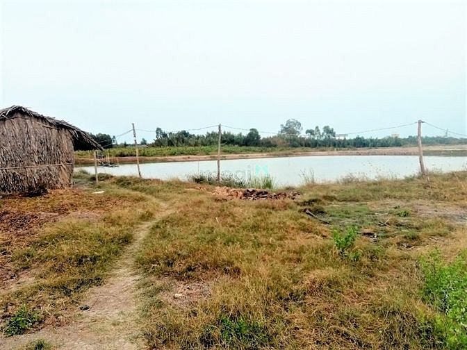 Hình ảnh Bán lô đất đẹp 1063m2 ngay KDC xã Bình Khánh Cần Giờ, giá 2,2 tỷ/1000m