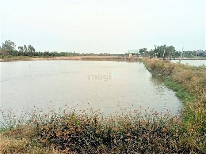 Hình ảnh Bán lô đất đẹp 1063m2 ngay KDC xã Bình Khánh Cần Giờ, giá 2,2 tỷ/1000m