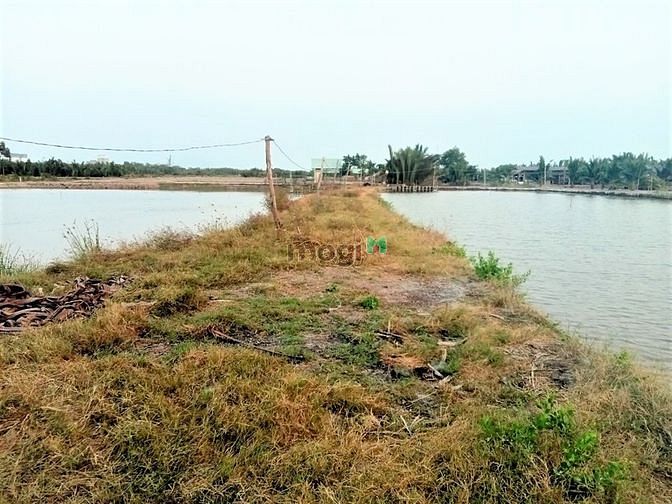 Hình ảnh Bán lô đất đẹp 1063m2 ngay KDC xã Bình Khánh Cần Giờ, giá 2,2 tỷ/1000m