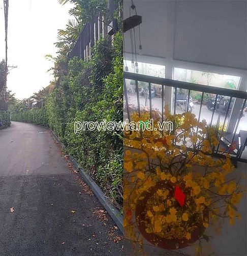 Hình ảnh Bán lô đất thổ cư Thảo Điền, gồm 2 lô sát nhau, 182m2 đất, thổ cư