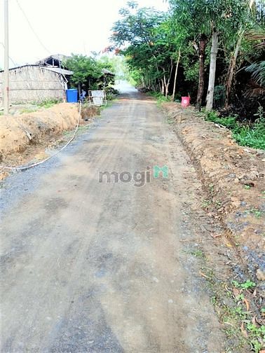 Hình ảnh Bán lô đất MT đường xe hơi tới đất Lý Nhơn Cần Giờ, 1313m, giá 3,5 tỷ
